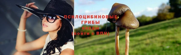 гашик Верхний Тагил