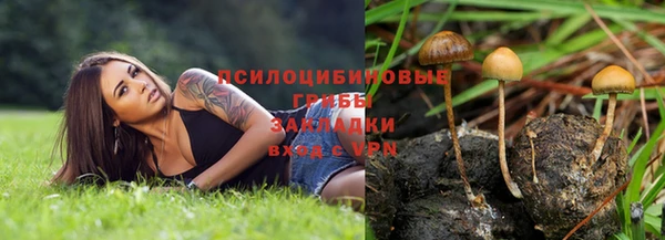 гашик Верхний Тагил