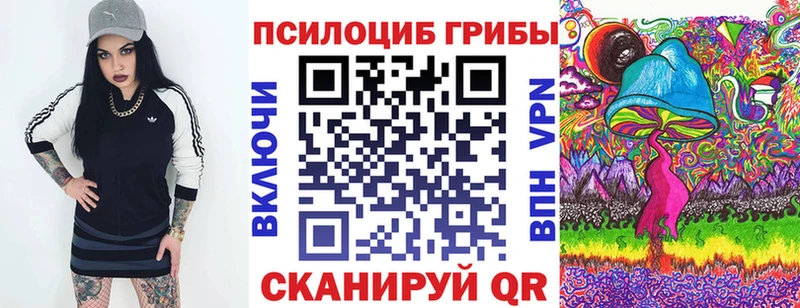 купить закладку  Дубна  Галлюциногенные грибы MAGIC MUSHROOMS 