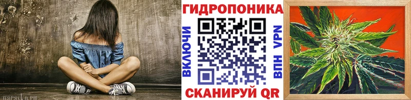 Канабис планчик  где можно купить   Дубна 